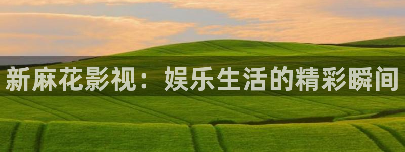 韩国影视免费观看