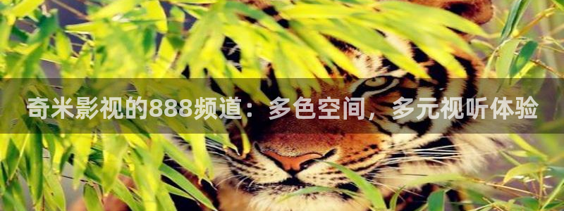 韩国影视推荐：奇米影视的888频道：多色空间，多元视听体验