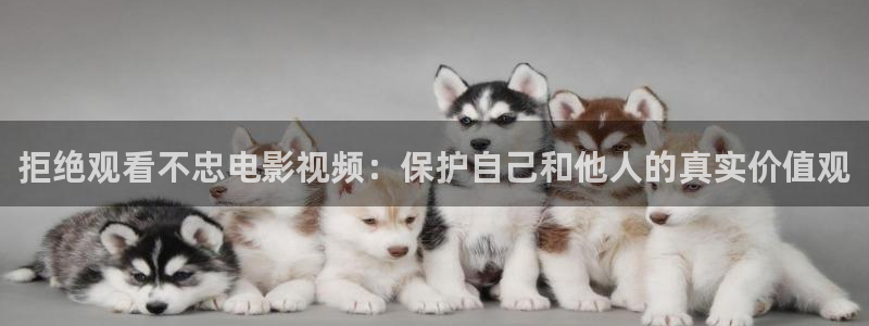 韩国影视大全：拒绝观看不忠电影视频：保护自己和他人的真实价值观